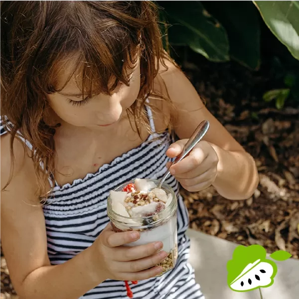 Custard Apple Australia - recipe inspiration for consumers