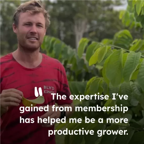 Custard Apple Australia - sharing grower stories
